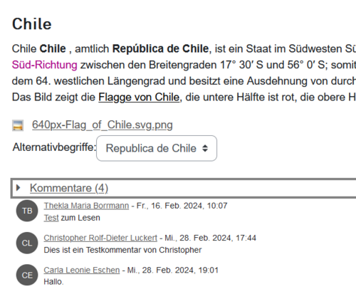 kurzer Text über Chile, darunter Verlinkungsangabe eines Bildes, darunter Anzeige 4 Userkommentare