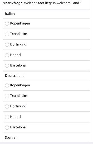 Mobile Ansicht einer Matrixfrage: statt Tabelle als gestapelte Abschnitte dargestellt, je Item eine Überschrift mit darunterliegenden Radiobutton-Optionen. Items und Antwortoptionen haben die gleiche Schriftgröße und den gleichen Schriftschnitt (kein Fettdruck).